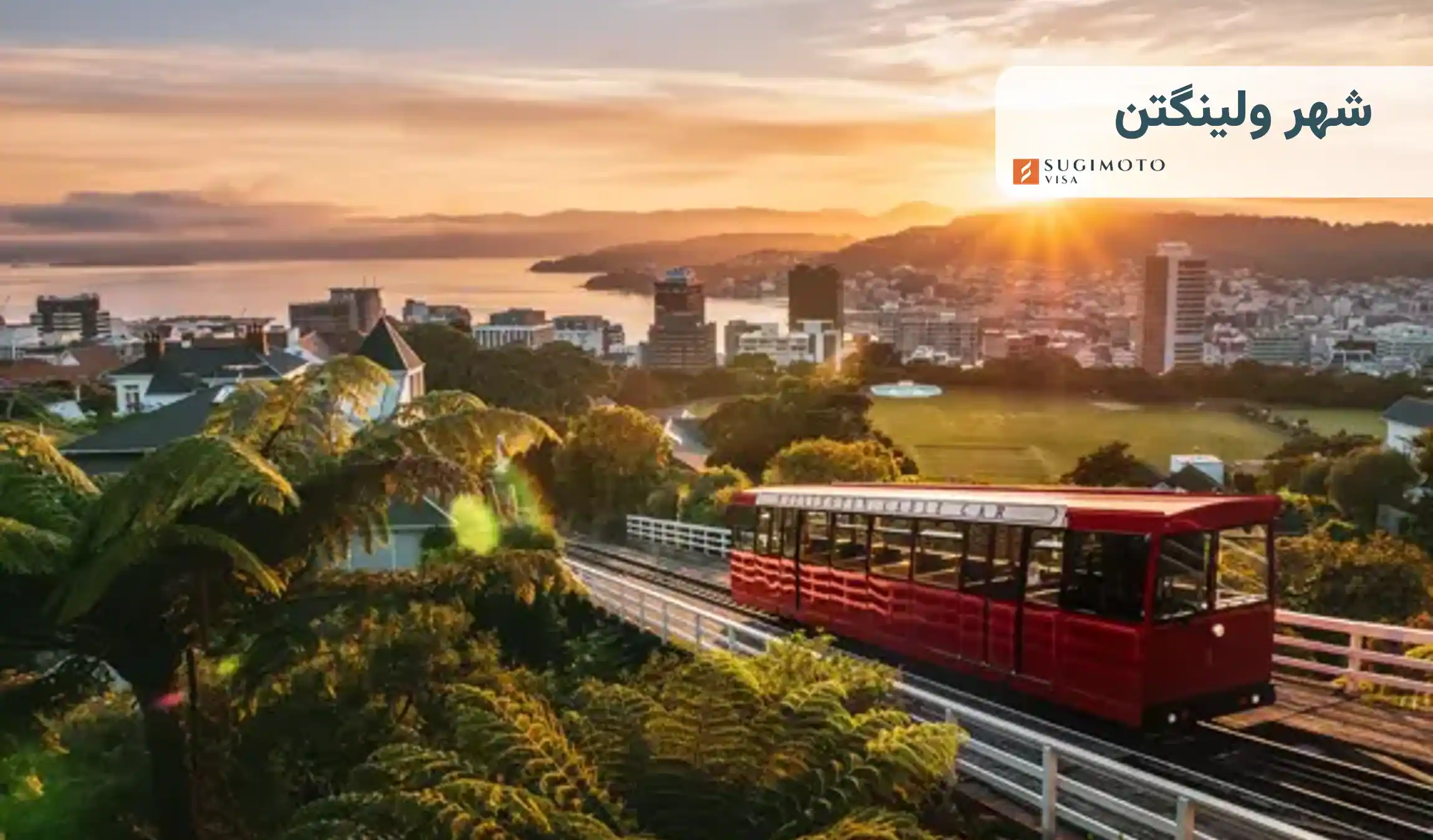 شهر ولینگتون استرالیا