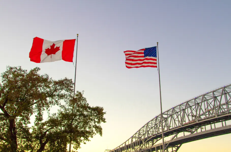 فلگ پولینگ | سوگیموتو ویزا